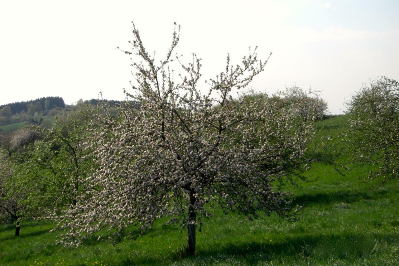 Ferienwohnung Kuhn Rhumspringe Zewnętrze zdjęcie